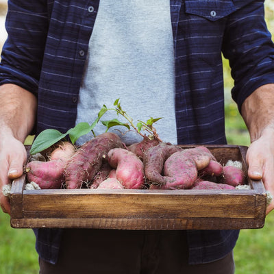 Know more about PACK'D organic vegetables